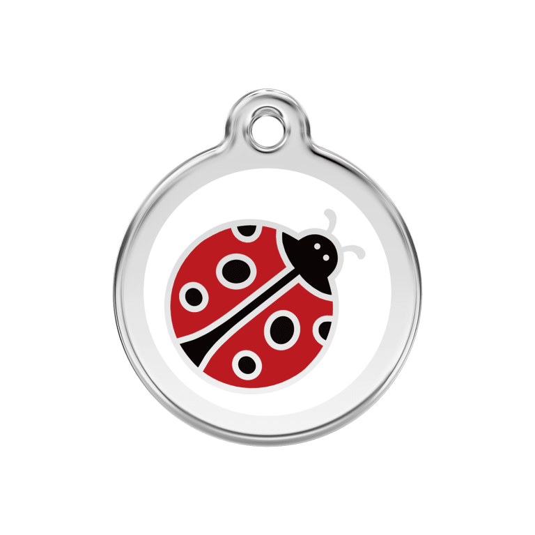 Vue avant - Médaille personnalisée pour chien Red Dingo Émail et acier inoxydable - Motif Coccinelle - Blanc - Talla M