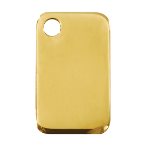 Placa para perro grande rectangular de latón plano