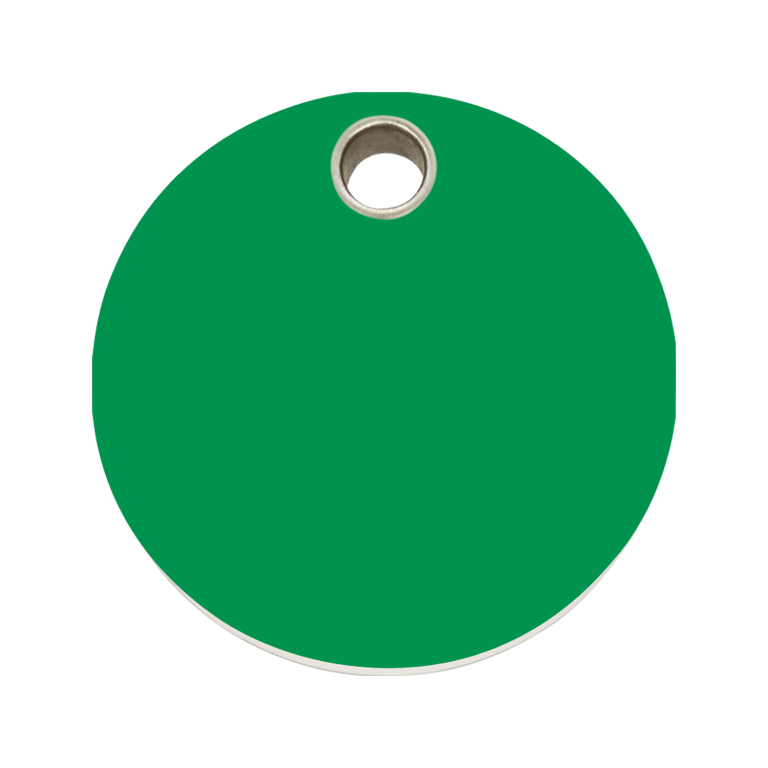 Vue avant - Médaille personnalisée pour chien - Red Dingo - Plastique plat vert - Talla L