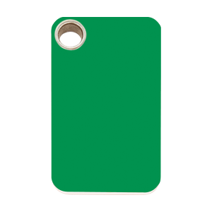 Placa para perro grande rectangular de plástico plano verde