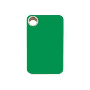 Placa para perro mediana rectangular de plástico plano verde