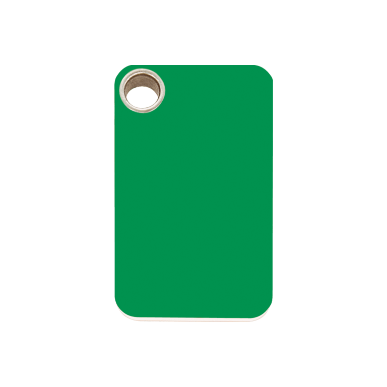 Vue avant - Médaille personnalisable pour chien - Red Dingo - Plastique plat vert - Talla M