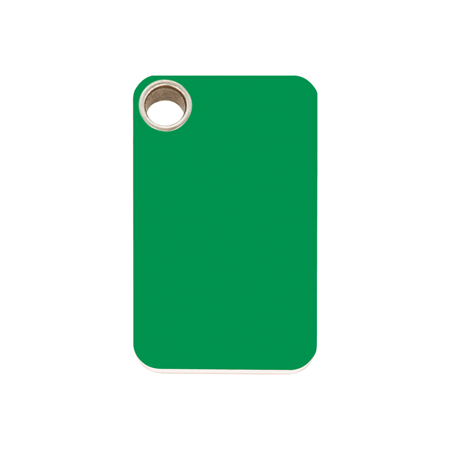 Vue avant - Médaille personnalisable pour chien - Red Dingo - Plastique plat vert - Talla M