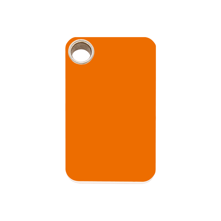 Vue avant - Médaille personnalisable pour chien Red Dingo - Colección Plastique Plat Orange - Talla M