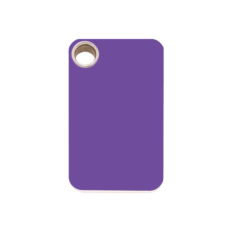 Vue avant - Médaille personnalisée pour chien Red Dingo violet plastique plat - Talla M - 04-RT-PU-ME